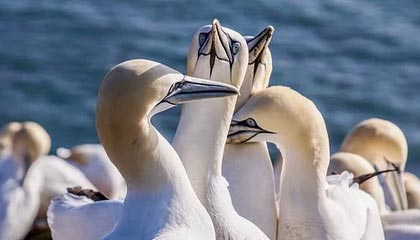 开云官网首页-【悬空球试点】开启野手新战术，引发战术多元化！，什么是悬空锻炼