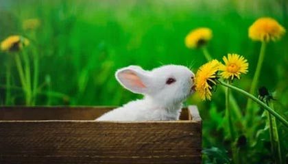 开云体育在线入口-【新星崛起】年轻运动员的训练方法与成功秘诀，那些刻苦训练的年轻运动员